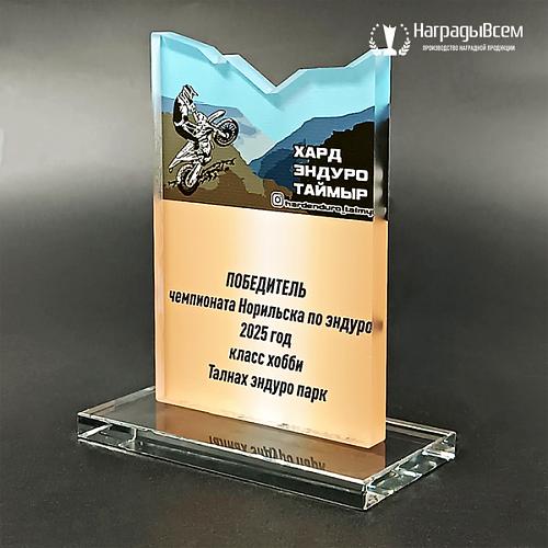 Награда арт. NV00055
