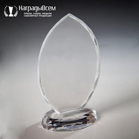Награда из стекла арт. N025