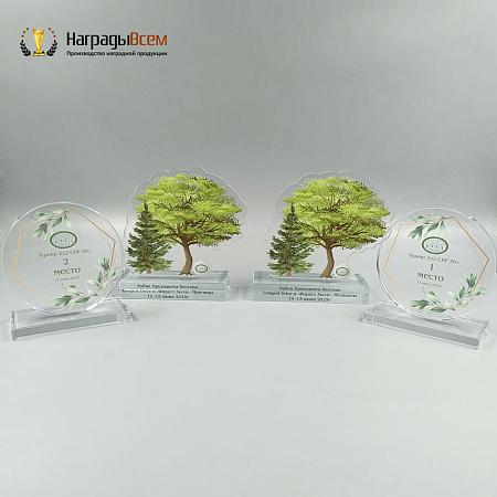 Награда арт. NV00270