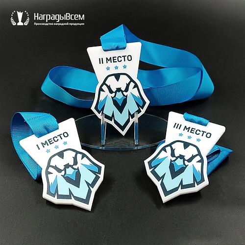 Награда арт. MD00076 от компании НаградыВсем