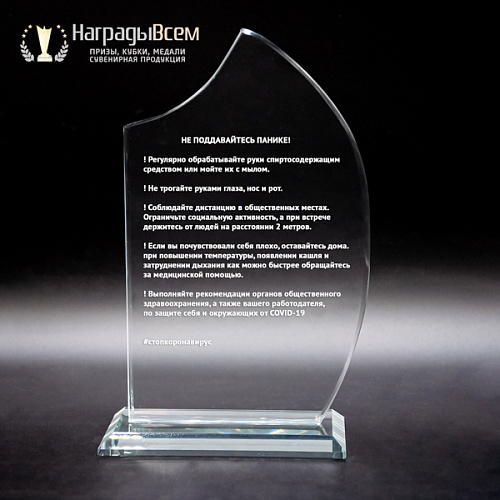 Награда из стекла арт. N040 от Компании НаградыВсем