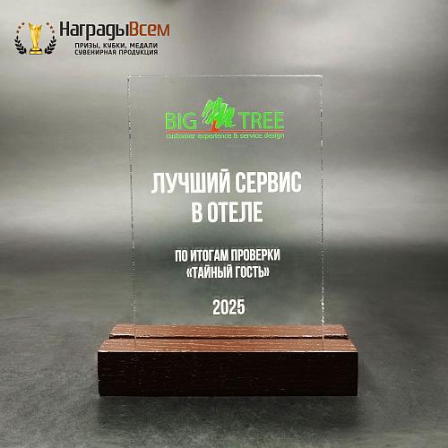 Награда арт. NV00227 от компании НаградыВсем