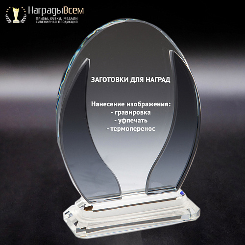 Награда из стекла арт. N011