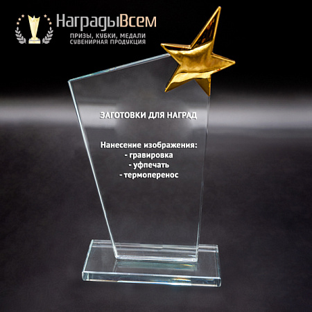 Награда из стекла арт. N041