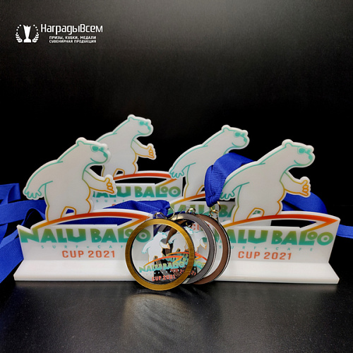  Награда из акрила арт. S027 заказать в НаградыВсем