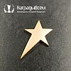 Награда арт. NV00313