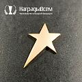 Награда арт. NV00313