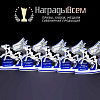  Награда из акрила арт. S004 заказать в НаградыВсем