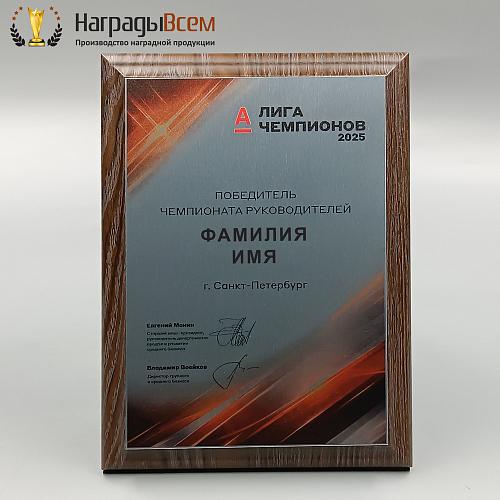 Награда арт. DV00010 от компании НаградыВсем