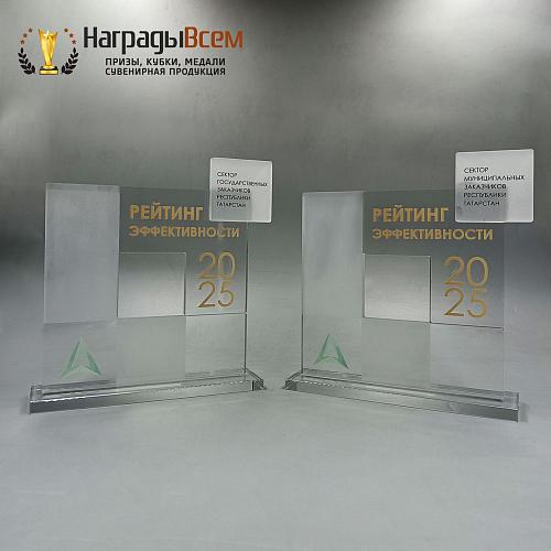 Награда арт. NV00195