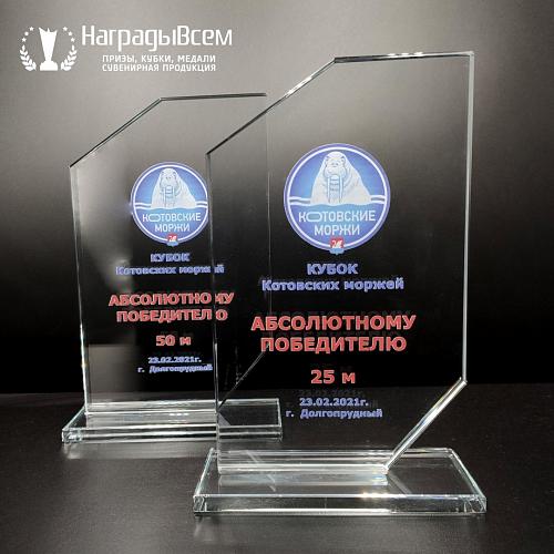 Награда из стекла арт. N071-R - распродажа