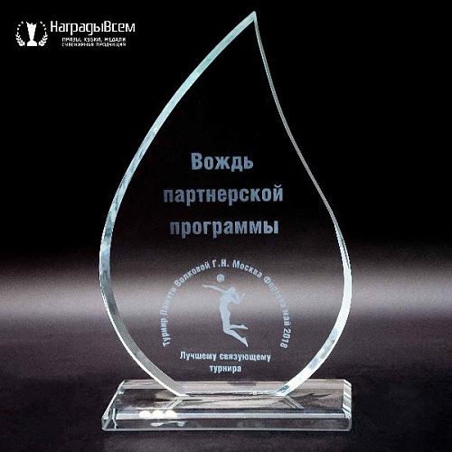 Награда из стекла арт. N036 от Компании НаградыВсем