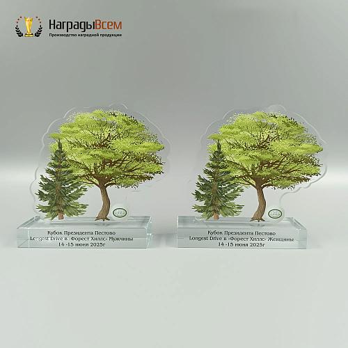 Награда арт. NV00270