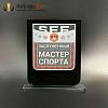 Награда арт. NV00274