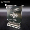 Награда из стекла арт. N024 от Компании НаградыВсем
